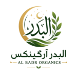 404